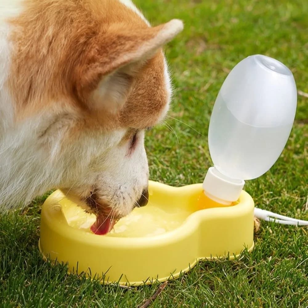 Bottiglia d'Acqua Pieghevole per Cani e Gatti, Antigoccia, in Plastica, Ciotola Portatile per Acqua, Accessori per l'Alimentazione degli Animali, Contenitore per Cibo e Acqua di Grado Alimentare