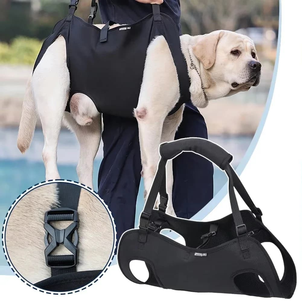 Pettorina per cani Trazione Cintura ausiliaria per tutto il corpo Regolazione della tracolla per esercizi di riabilitazione per la debole di passeggiate all'aperto