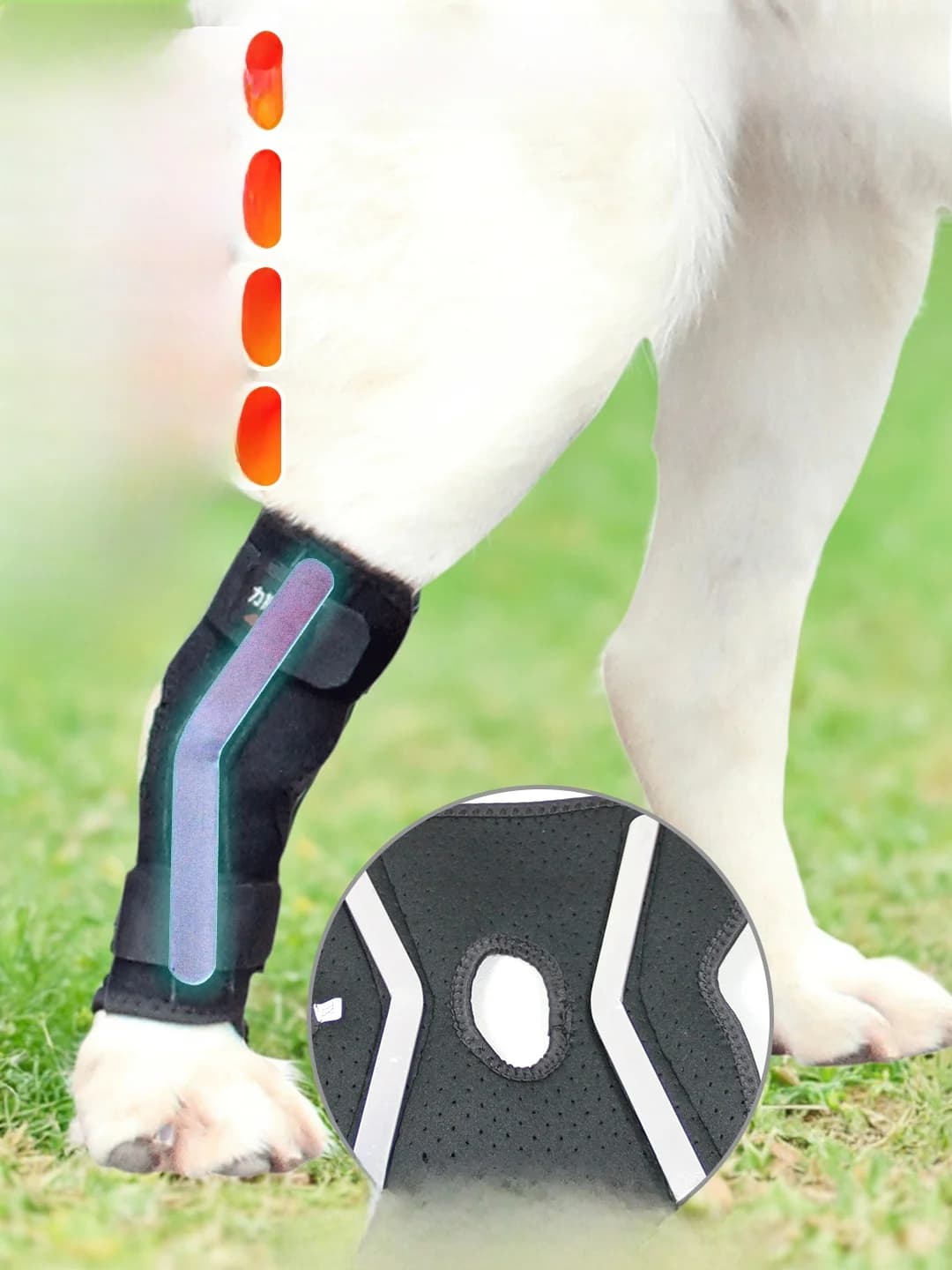 Supporto per Zampe di Cane, Tutore per Fusione della Caviglia, Supporto per Tendini e Legamenti, Accessori per Animali Domestici, Impermeabile per Cani