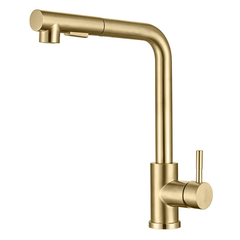 Rubinetto da Cucina Estraibile in Oro Spazzolato con 2 Modalità di Getto Flessibile e Doccetta, Miscelatore in Acciaio Inox per Acqua Calda e Fredda