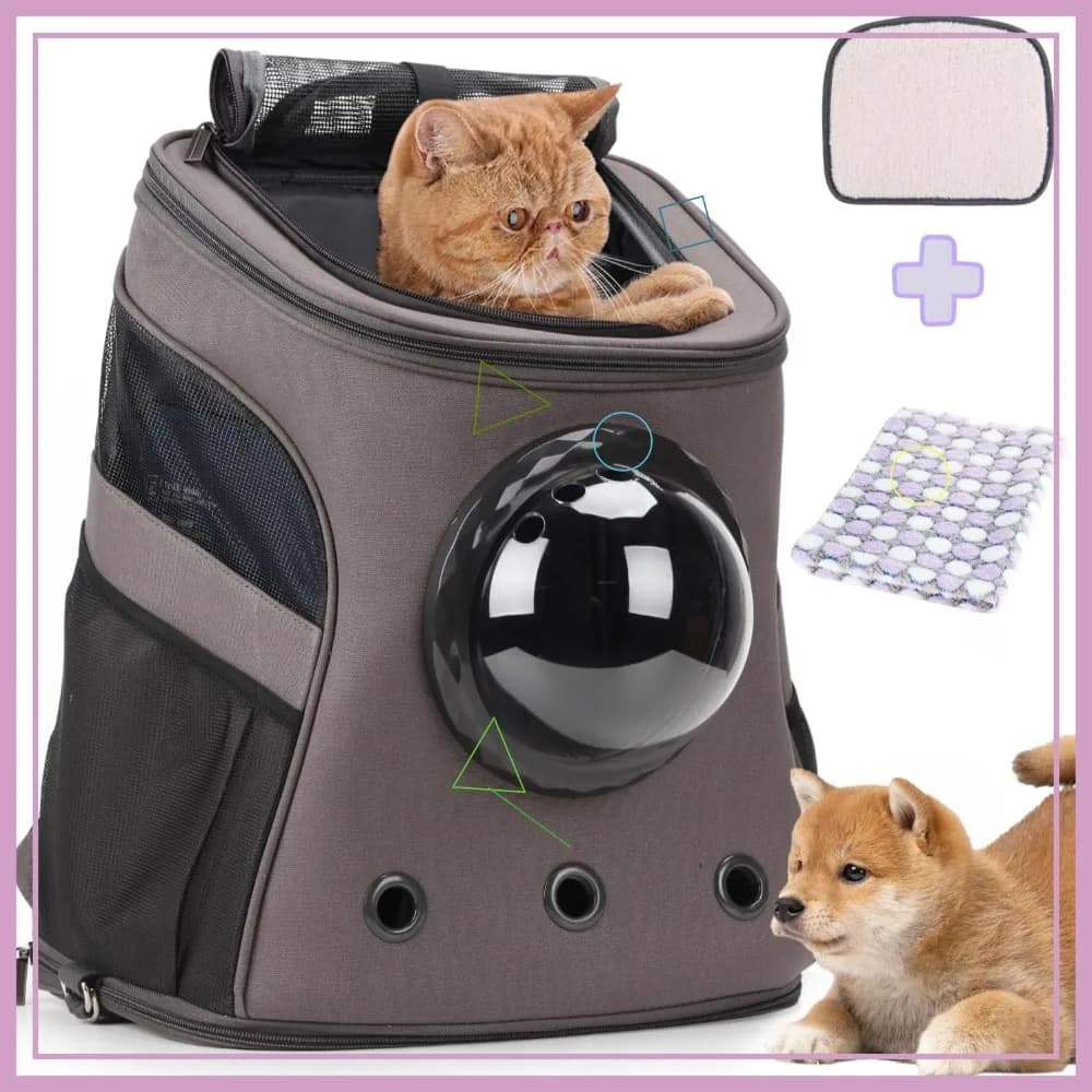 Zaino Trasportino Grande per Animali Domestici, Zaino a Bolla per Gatti Graschi e Cuccioli, Approvato dalle Compagnie Aeree (Grigio)