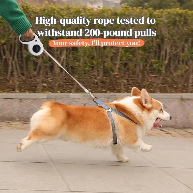 Guinzaglio per animali domestici Corda da passeggio per cani retrattile Estensibile automatico Senza grovigli di razza grande Maniglia comoda Forniture durevoli per animali domestici