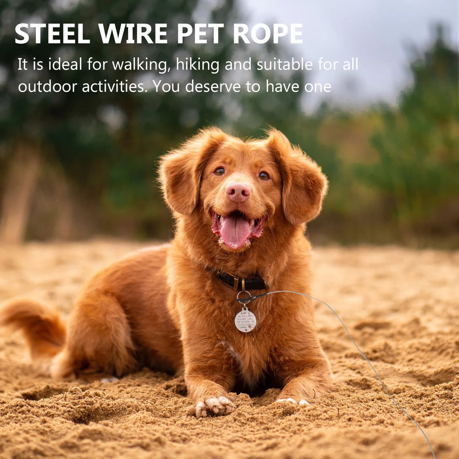 1Pcs Anti Bite Steel Wire Dog Leash 12M Long Heavy Duty Portable Pet Traction Rope Outdoor Walking Lead Dog Leash