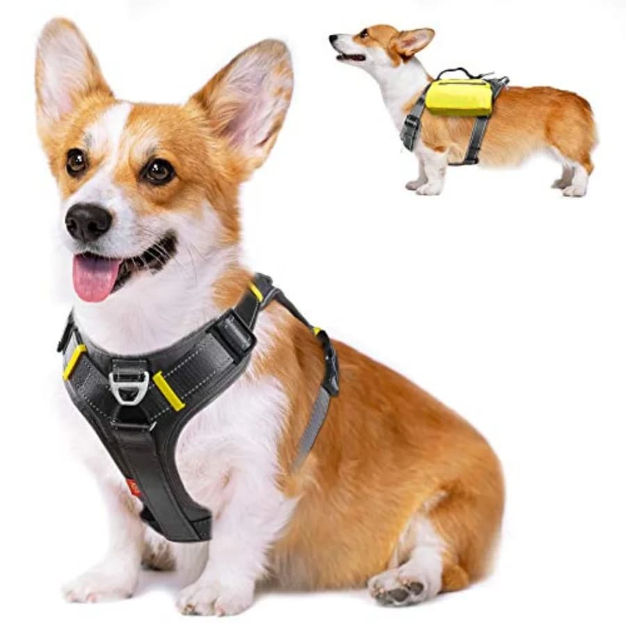 Pettorina per Cani Multifunzionale Anti-Trazione con Borse Laterali, Zaino, Clip Anteriore per Guinzaglio, Regolabile, Imbottita Morbida, Riflettente