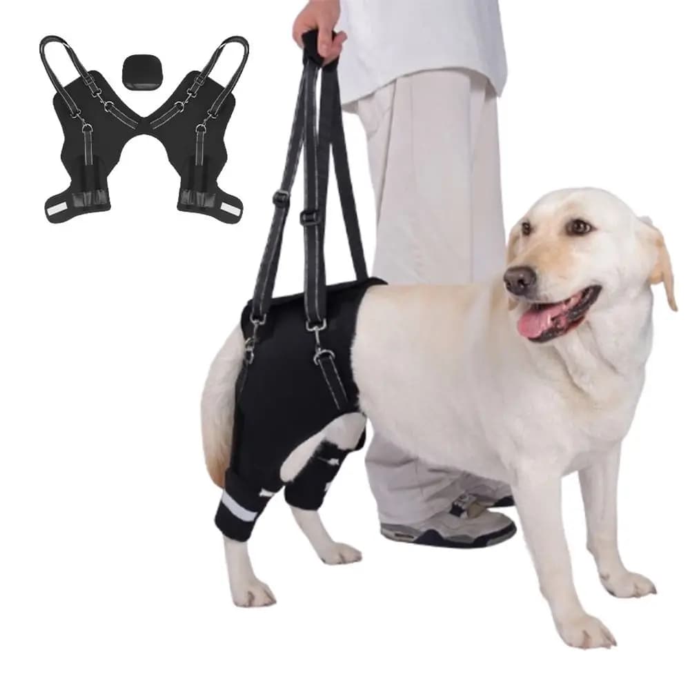 Imbracatura di Supporto per Cani con Supporto per Zampe e Fianchi, Nera, con Maniglia Robusta, Supporto Posteriore Regolabile, Striscia Riflettente, Cinghie di Supporto per la Camminata