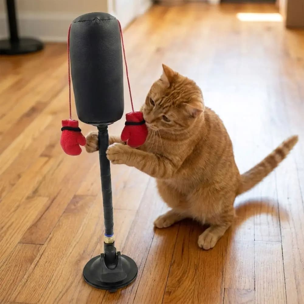Suction Cup Cat Boxing Toy Self-standing Bite Resistant Pet Punching Bag Toy Scratch Resistant Scratch Trainer Cat Boxing Game