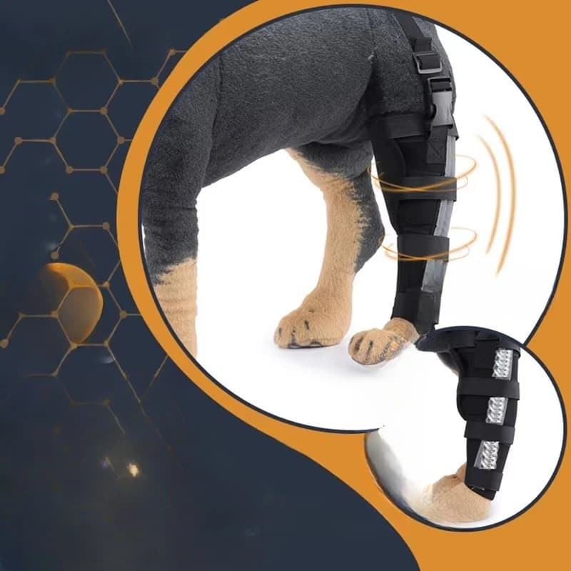 Supporto per Ginocchio per Cani, per Lesioni al LCA, Distorsione della Rotula, Regolabile per Legamento Crociato, Post-Operatorio, Fascia in Neoprene S/M/L