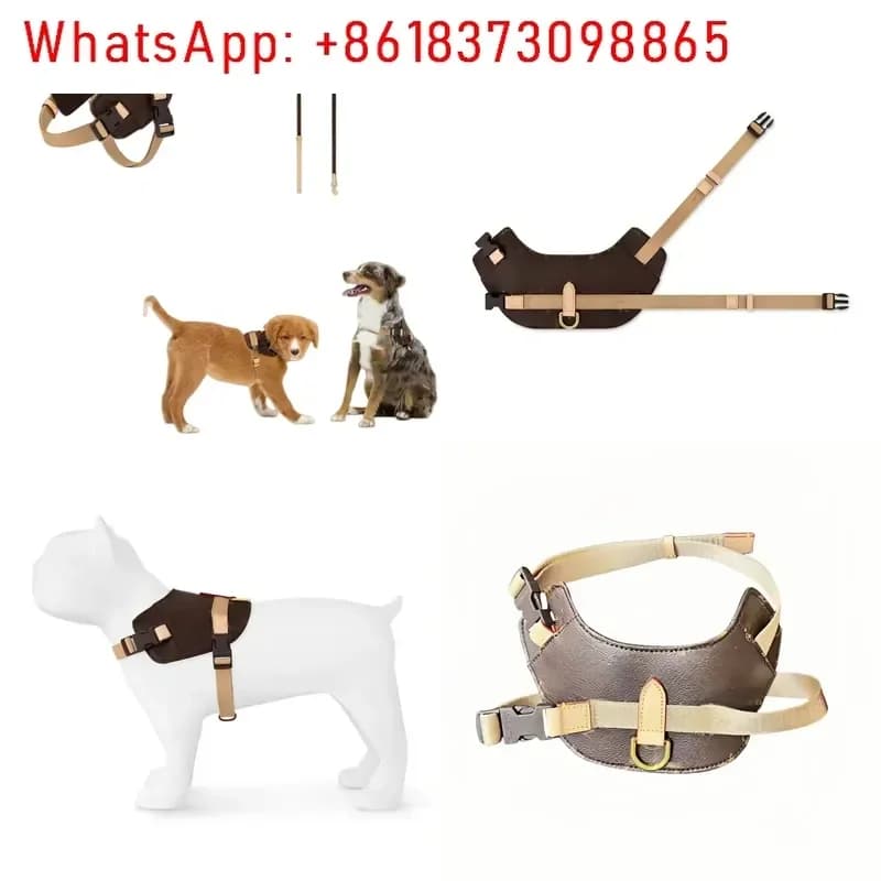 Spot goods Light Luxury European American Pet Vest and Leash for Medium Small Dogs Fashionable Walking Harness Strap