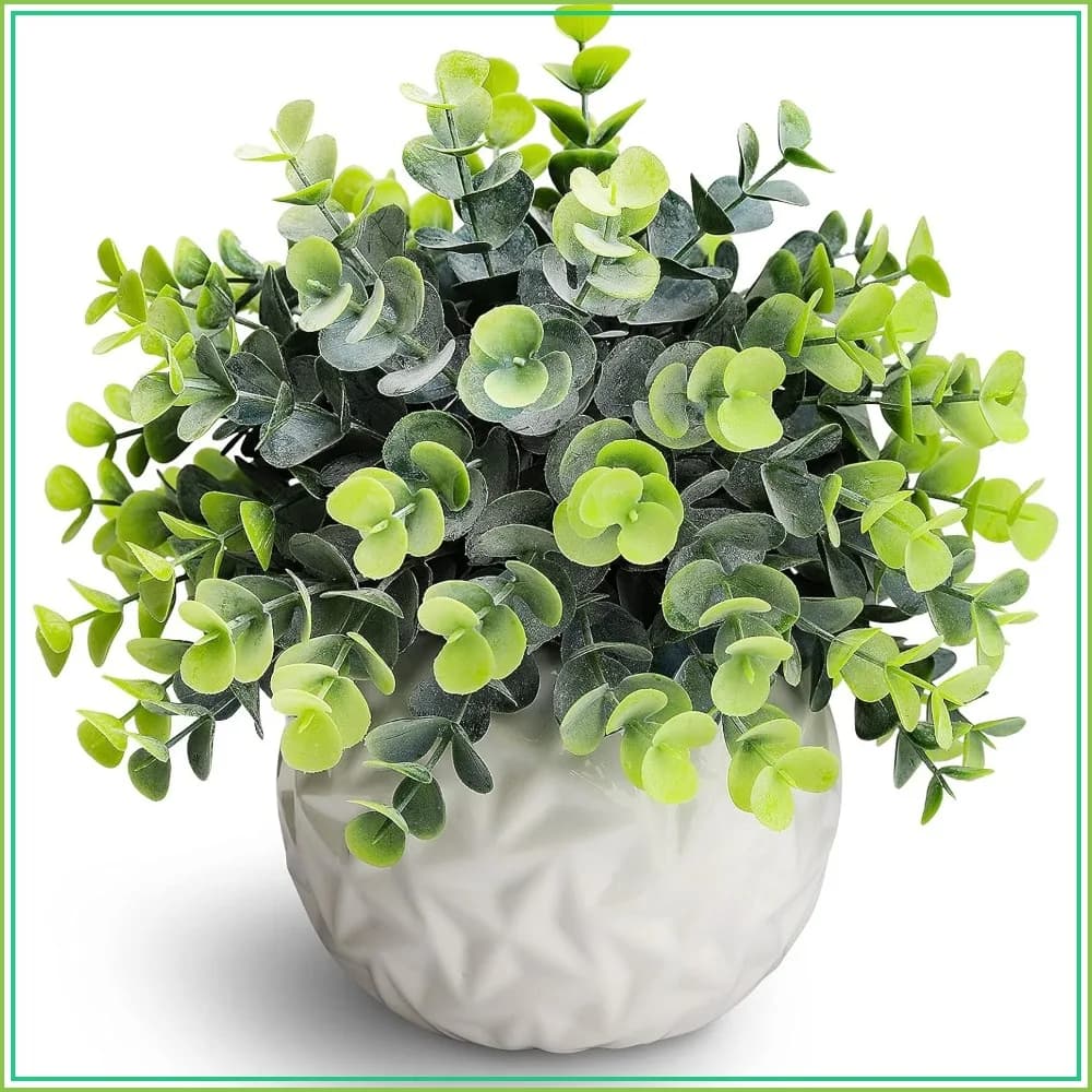 Piccole Piante Artificiali di Eucalipto in Vasi Bianchi per Decorazione d'Interni