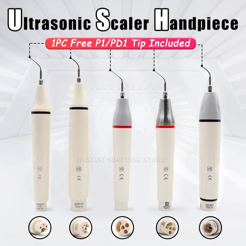 Scaler ad ultrasuoni Manipolo staccabile Scaler piezoelettrico dentale Punta libera compatibile con SATELEC DT E WOODPECK EMS VRN Pulizia dei denti