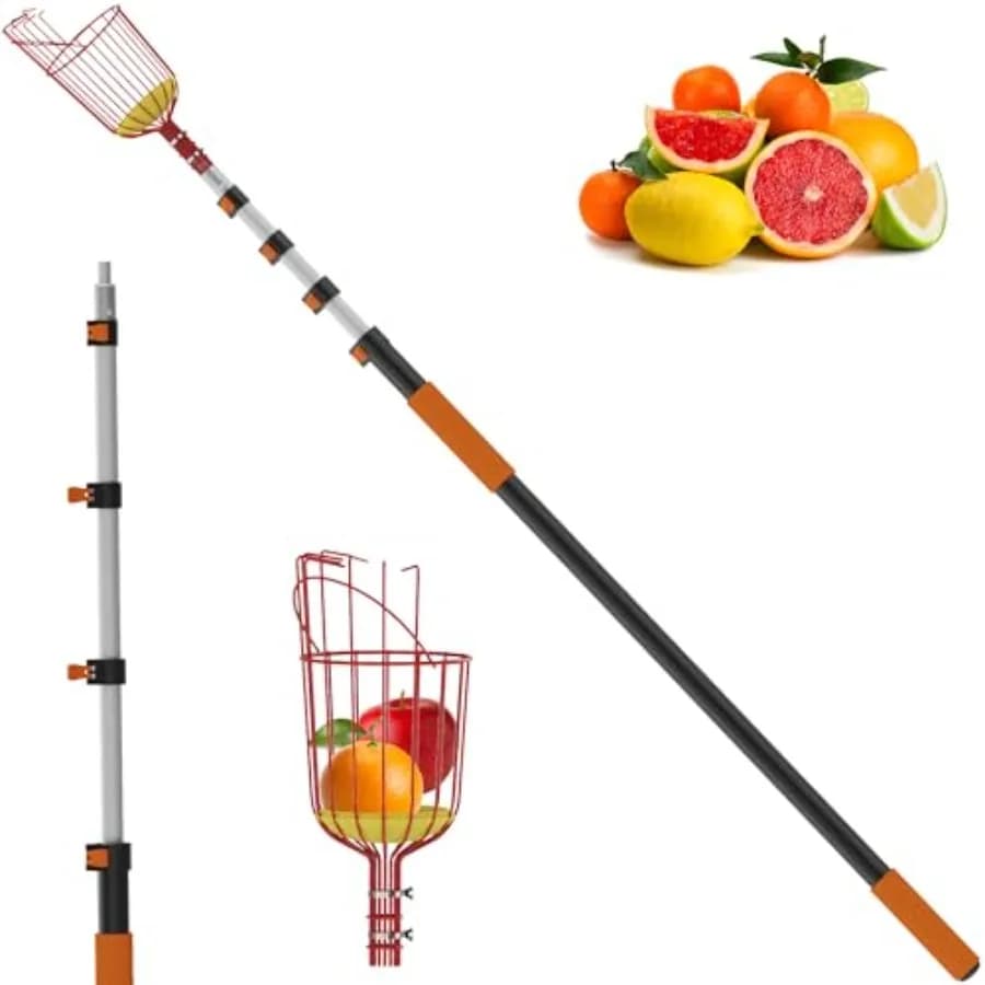 Asta Telescopica Raccoglifrutta da 26FT con Cesto, Asta Telescopica Raccoglifrutta da 5-20FT con Cesto, Raccogli Mele con Manico Lungo Telescopico