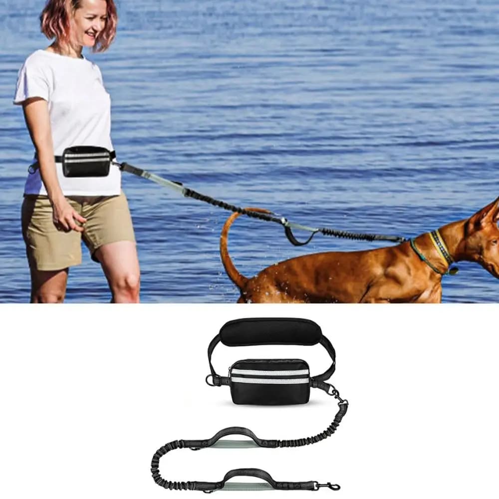 Reflective Strip Dog Running Waist Leash Retractable Double/Single Rope Dong Walking Leash Padded Handles Adjustable Waist Belt