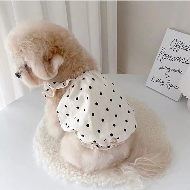 Fungus Collar Puppy Abiti estivi Designer Polka Dot Morbido cotone Pet Cat Abiti Dolce femminile Medio piccolo Chihuahua Abbigliamento