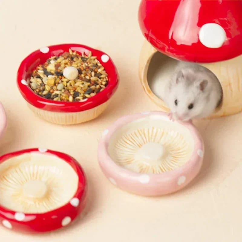 Simpatico fungo in ceramica per criceti, piccolo nascosto per animali domestici, bottiglia d'acqua, ciotola per alimenti, orso dorato, furetto, ratto, mobili per dormire