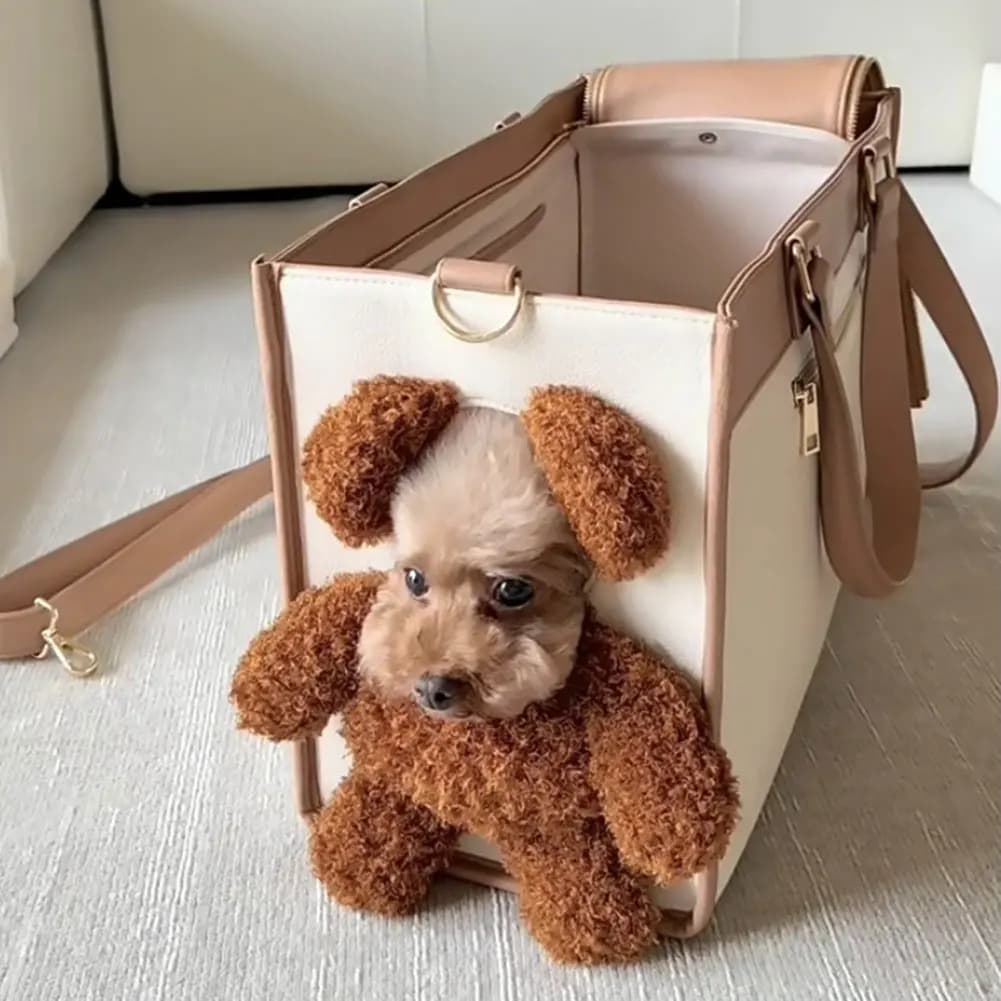 Portable Pet Shoulder Carrier Lightweight Personalized Pet Travel Tote Bag For Cats Dogs
