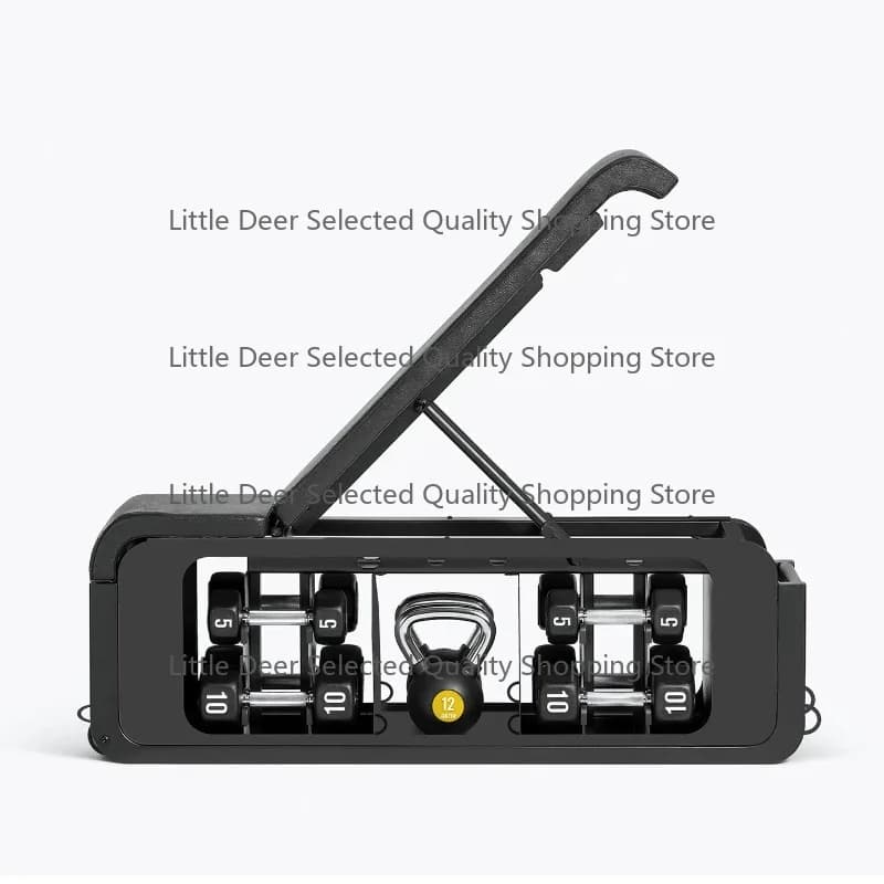 Kettlebell and Manubri bench with Support Combination for Storage, Adjustable Weight, for Weight Lifting Exercises and Fitness Training