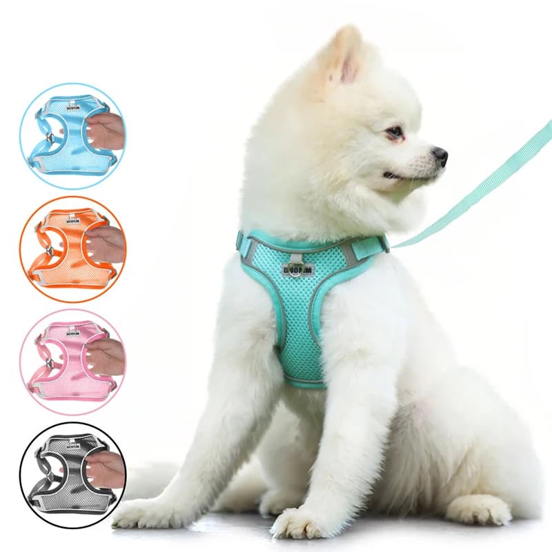 Dog Harness and Leash Set Breathable Mesh Dog Vest Harness Pet Walking Reflective Adjustable Outdoor Travel No Pull Harness