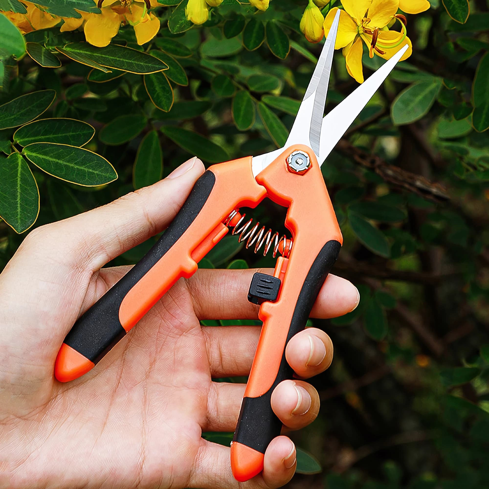 Pruning shears - Precision cutting scissors for gardening, hand pruning shears for flowers, bonsai, fruit and vegetable harvest