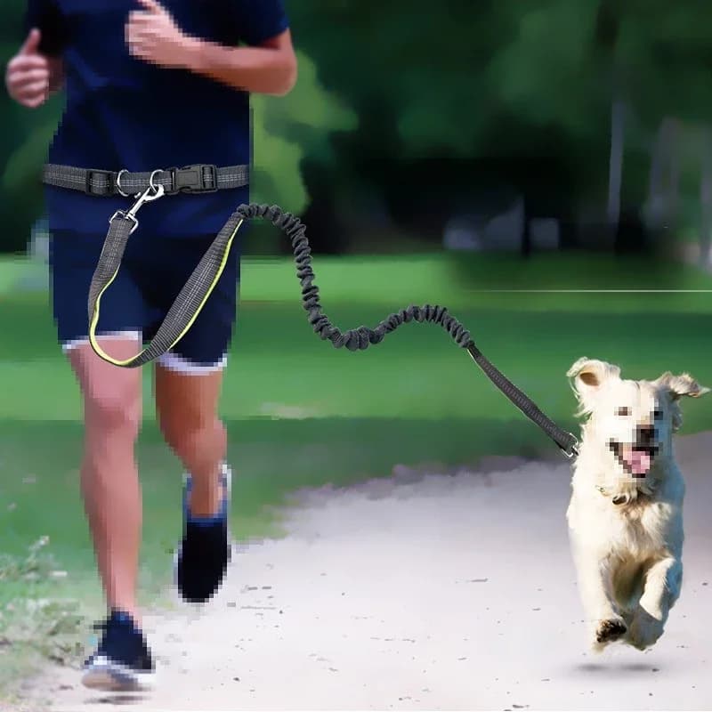 Pet Products 190 Cm Pet Traction Belt Dog Running Traction Belt Traction Rope