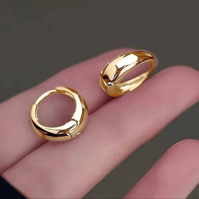 EVISPOL Elegant stainless steel hypoallergenic French circle earrings Cartilagine Elica Trago Piercing Earrings Jewelry Gift