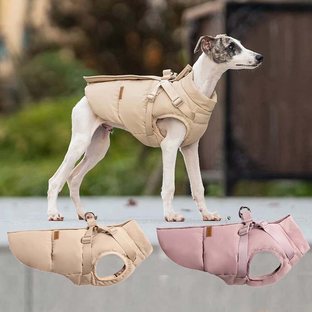 Abbigliamento per animali domestici autunno inverno Giacca per cani da esterno con imbracatura per cani di piccola taglia e media Abbigliamento imbottito in cotone caldo e spesso