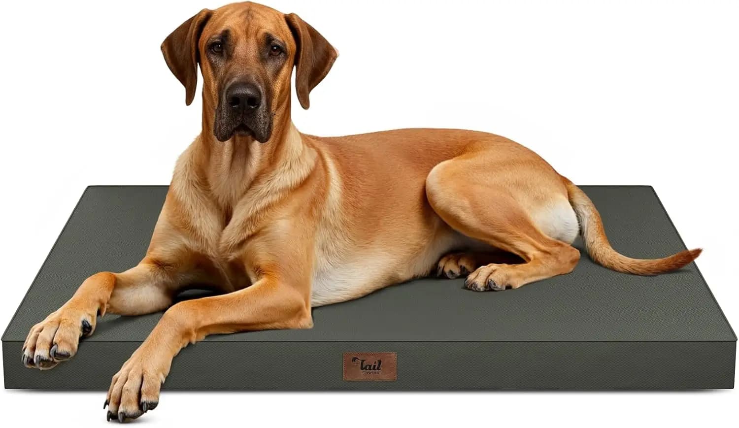 Cuccia per cani extra large impermeabile, materasso ortopedico in schiuma a nido d'ape con rivestimento rinfrescante rimovibile, marrone
