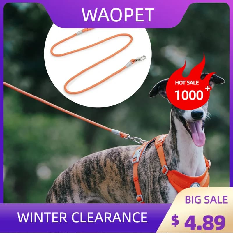 Guinzagli per cani da compagnia resistenti corda per riflessione notturna guinzaglio per addestramento a piedi per cani e gatti con collare per imbracatura cinturino in piombo lungo 150CM