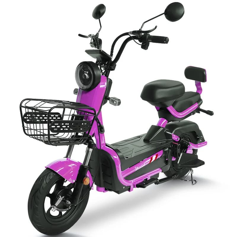 Scooter Elettrico 1000W 72V 20Ah, Bicicletta Elettrica Urbana a 2 Ruote, Moto Elettrica