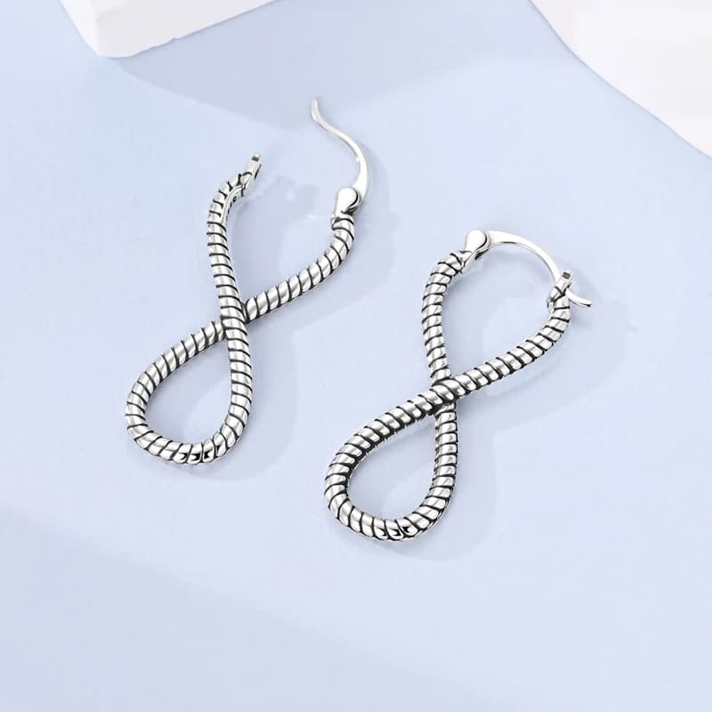 925 Sterling Silver Earrings Women Sparkling Snake Endless Twist Drop Earring For Anniversary Wedding Jewelry Gifts