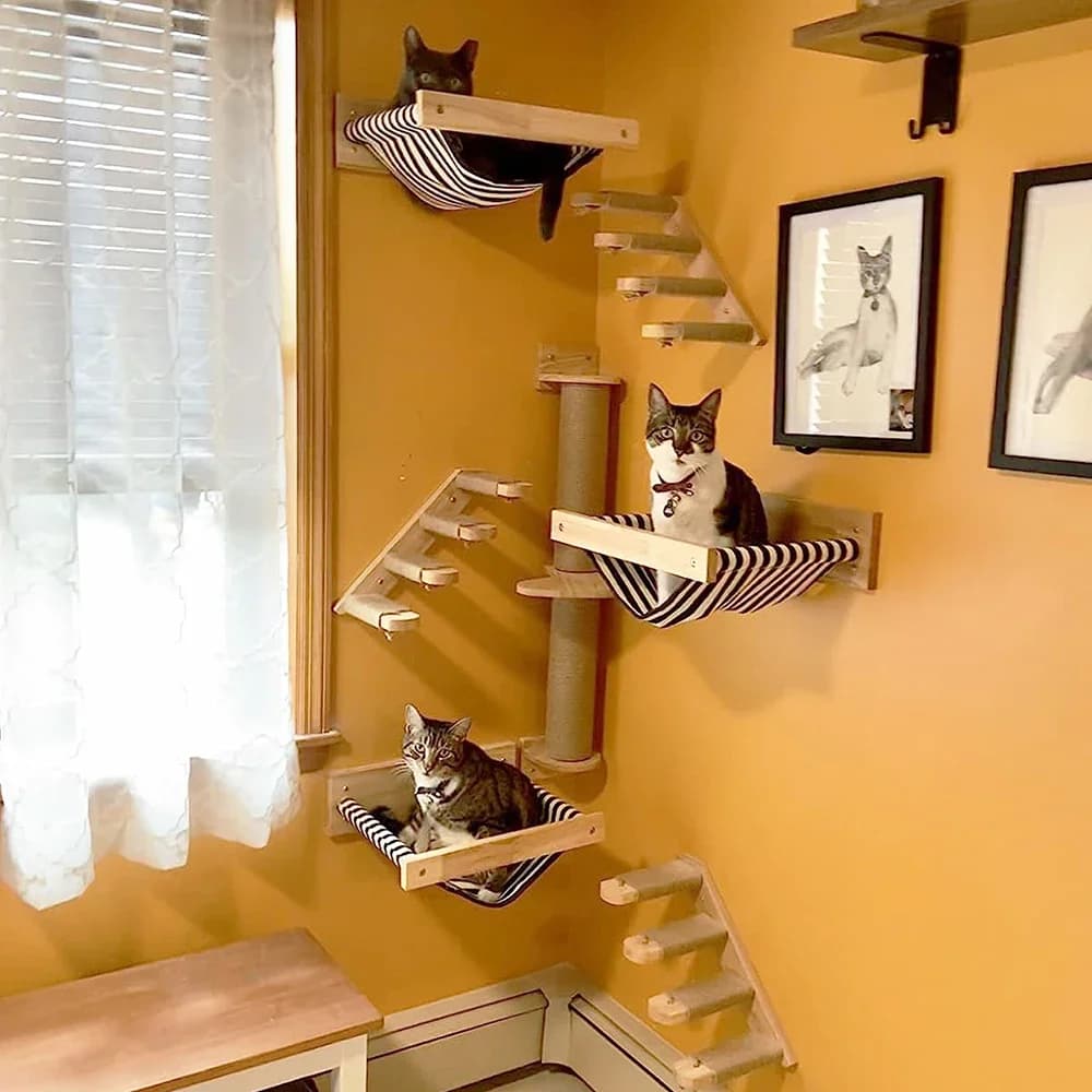 Climbing Shelves for Cats Wall Cat Tree Wooden Furniture Tiragraffi Jumping Platform String Scale Sleeping and Playing Cat