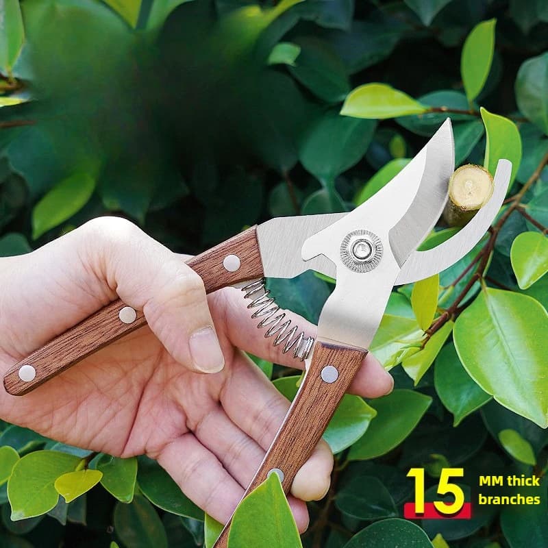 Professional pruning shears Multipurpose Garden cutting Fruit harvesting Copper Cutting tools for trees Stainless steel scissors