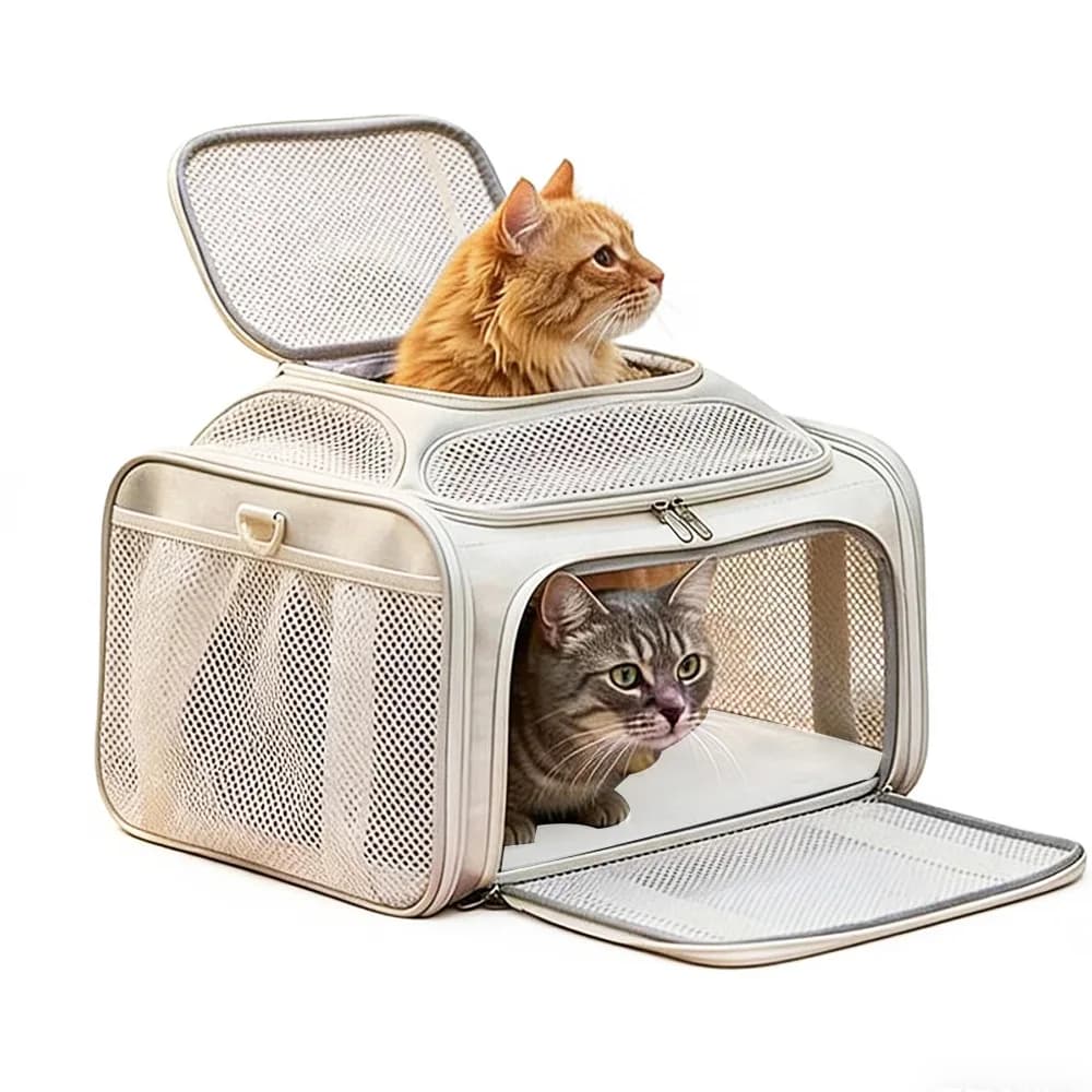 Borsa per il trasporto di animali domestici, borsa per il trasporto di gatti