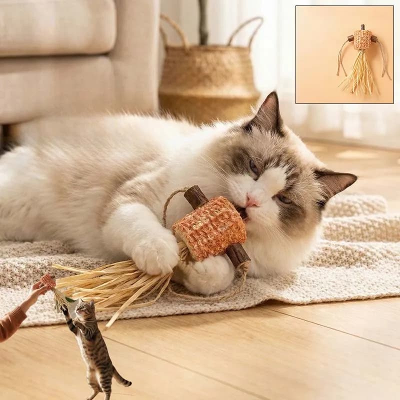 Giocattolo da Masticare per Gatti, Pulizia Denti, Resistente ai Morsi, Gioco Interattivo per Gattini, Accessori per Gatti