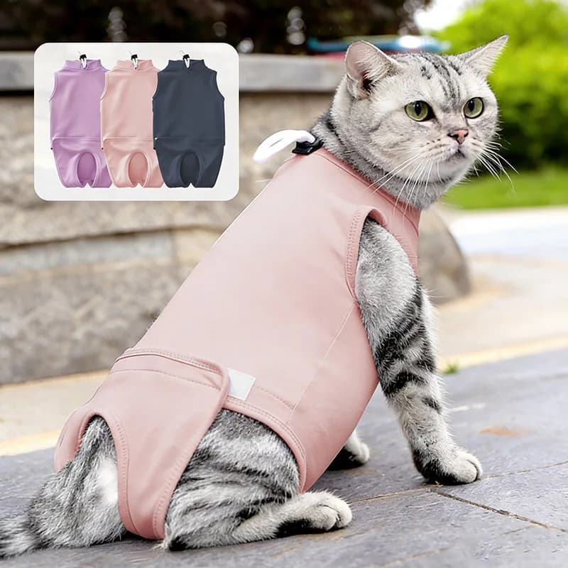 Anti-leccatura Gatti Chirurgia Recupero Tuta Morbido E Traspirante Velcro Design Gatto Tuta Gilet Dopo La Chirurgia Abbigliamento Accessori Chat