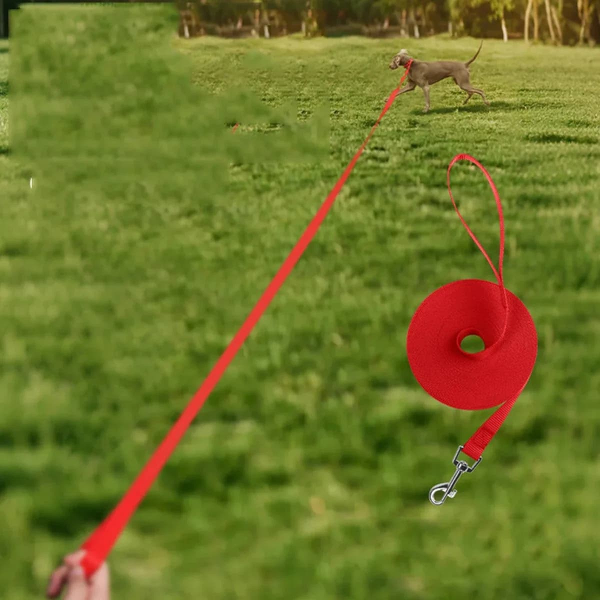30M Dog Guinzaglio, Guinzaglio Largo per Addestramento Cani, Nylon Guinzaglio per Corsa e Passeggio all'Aperto, Supplies for Pets