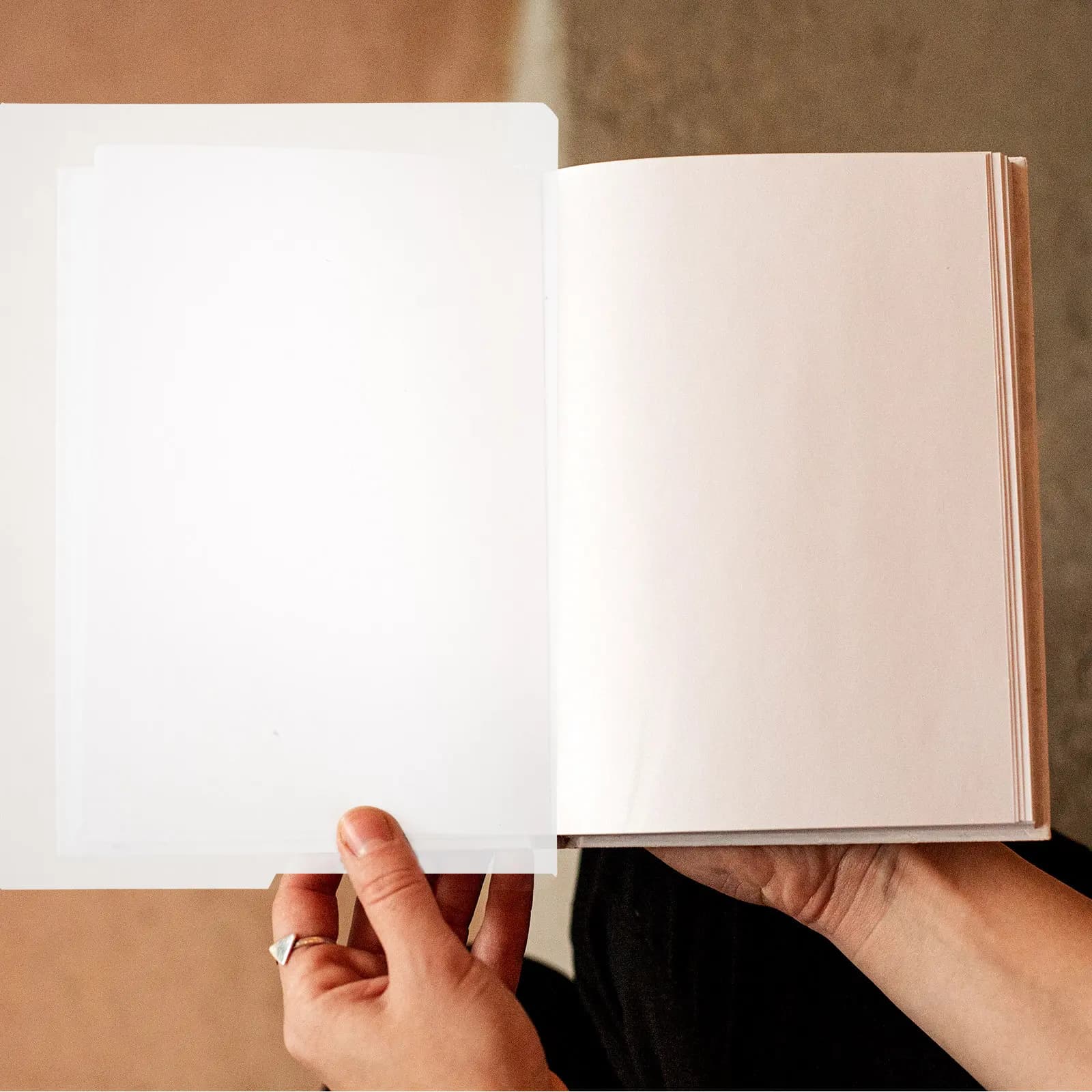 5 divisori A4 in PP resistente per archivio, libri, agende, con separatori per indice di ottima fattura, per quaderni