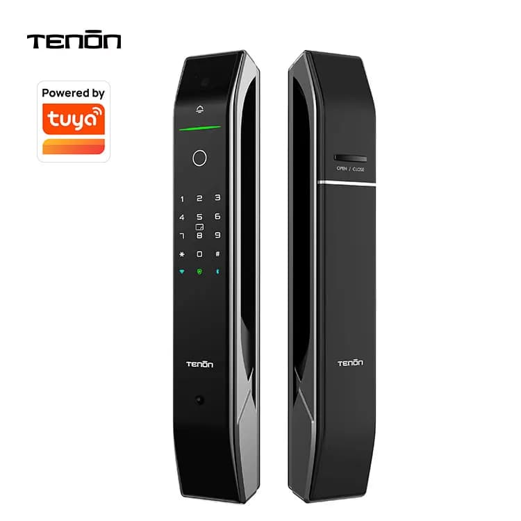 Romania Push Pull Elettronico WIFI Tuya APP Scheda di controllo Impronte digitali Serratura Password Serrature intelligenti digitali con fotocamera