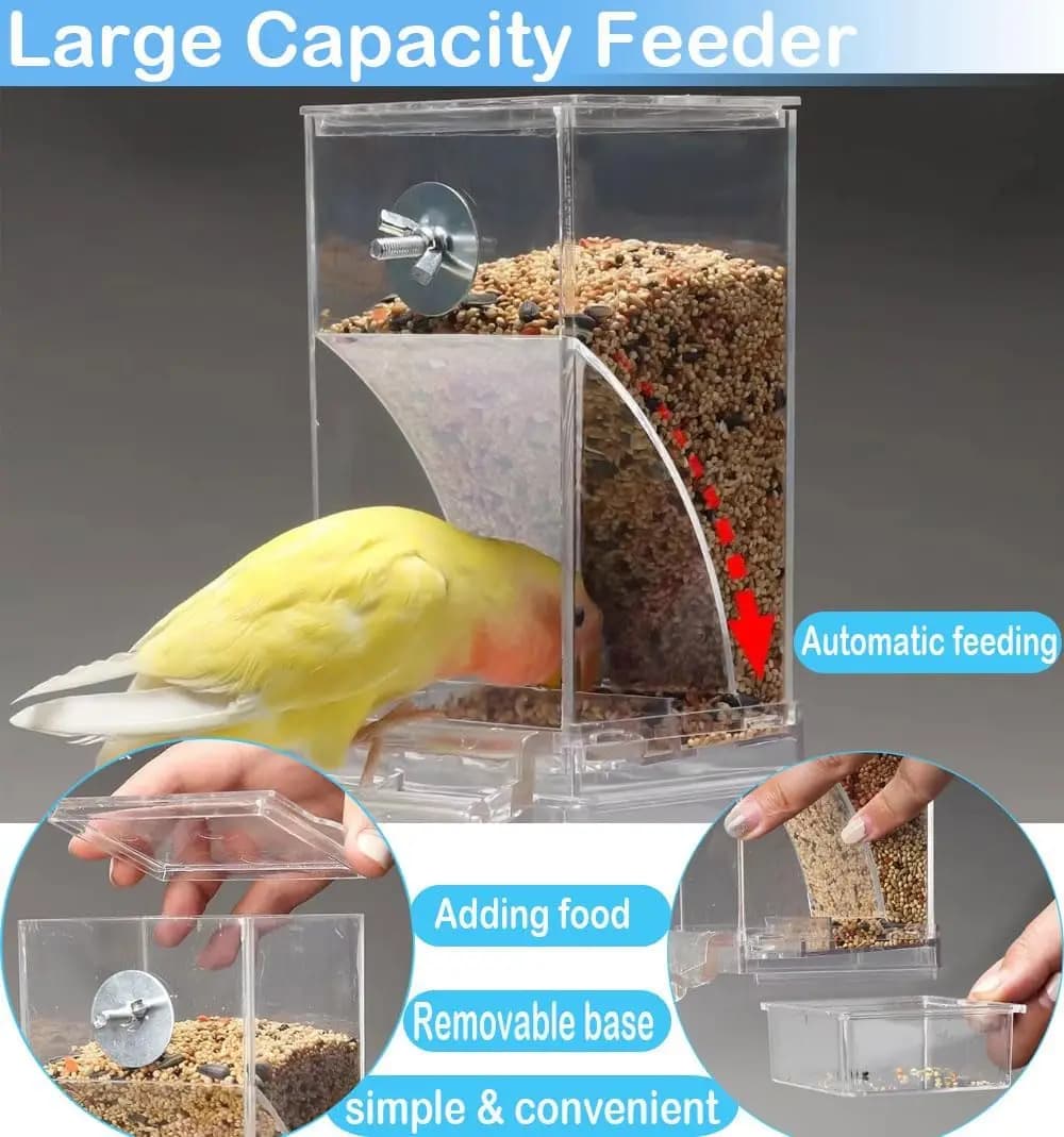 Mangiatoia per uccelli automatica senza disordine Contenitore per alimenti trasparente Gabbia Accessori per mangiatoia per pappagalli per uccelli piccoli Pappagallo
