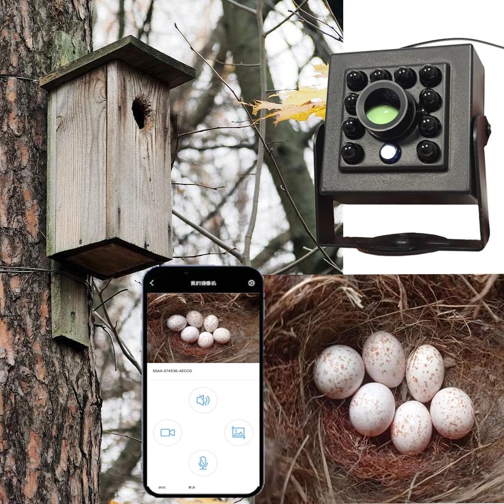 Telecamera WiFi Bird Box POE 5MP 2MP IPC Installazione semplice per la maggior parte delle mangiatoie per casette per uccelli Nesting con modalità notturna IR CUT