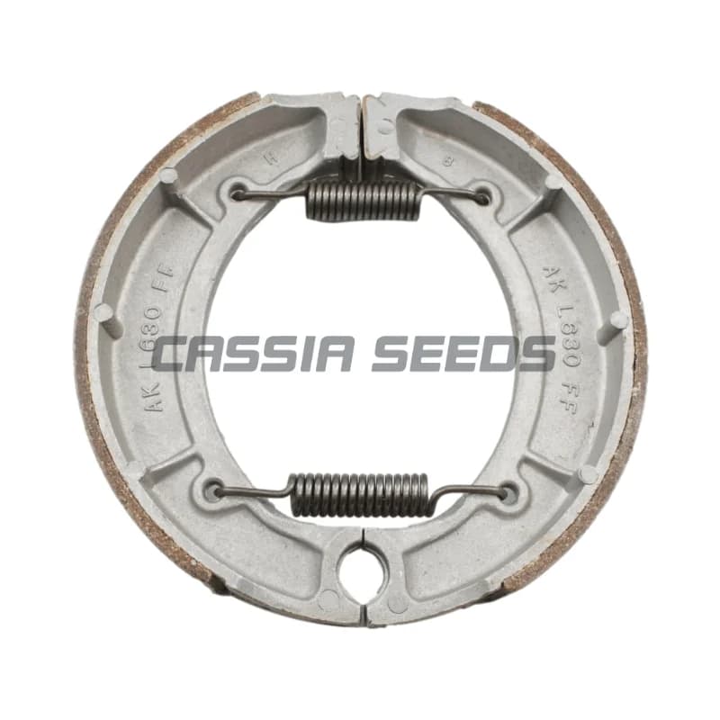 Adatto per moto Yamaha Majest 250 YP250 Majesty 250 Pastiglia freno posteriore Pastiglia freno a tamburo posteriore