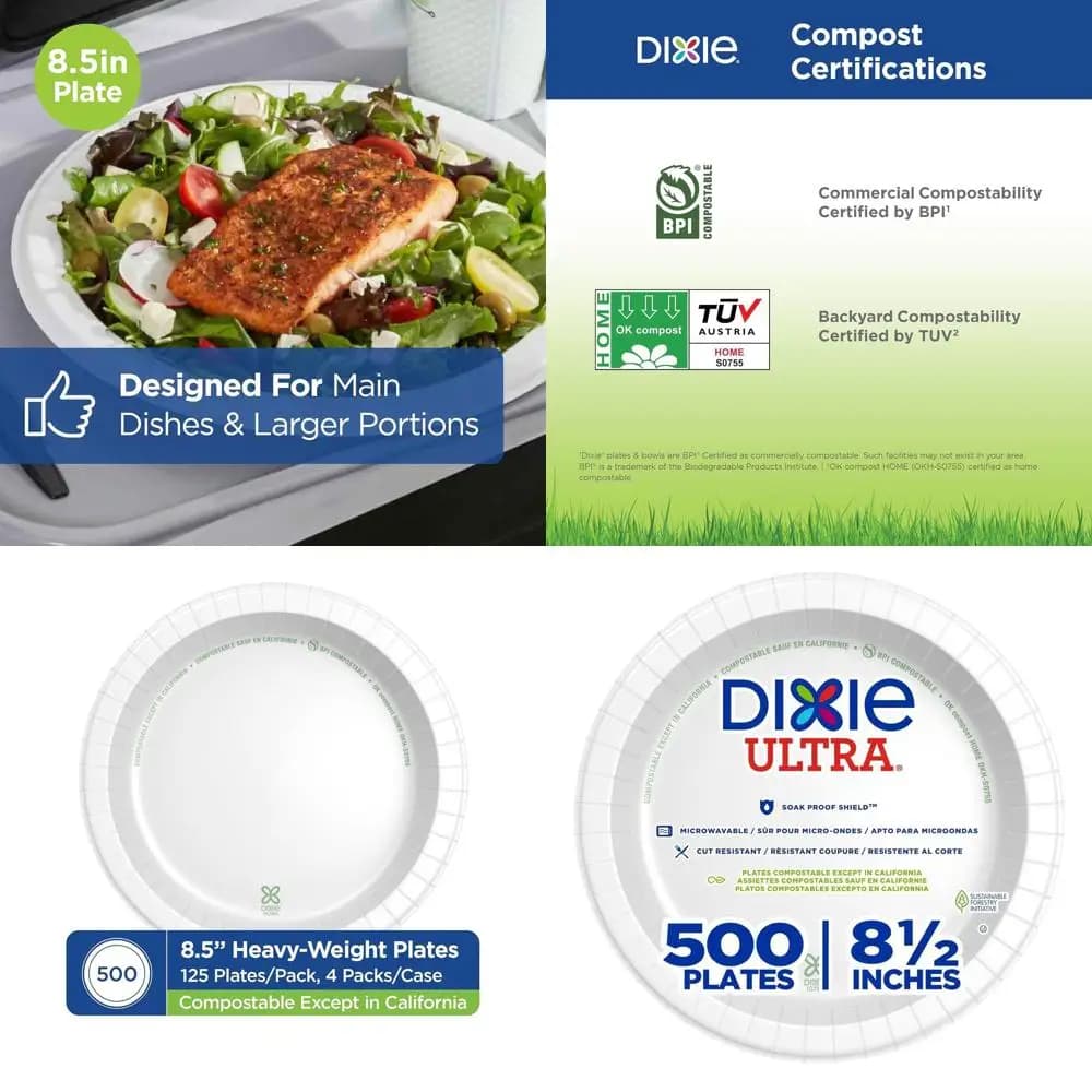 White Paper Plates Resistant 8.5 Inches, Pack of 500 Pieces, 4 Packages/125 Pieces for Packaging