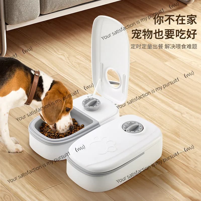 Ciotola per animali domestici, mangiatoia temporizzata intelligente, cibo quantitativo secco e umido, separazione doppia pasto, alimentazione automatica del cane
