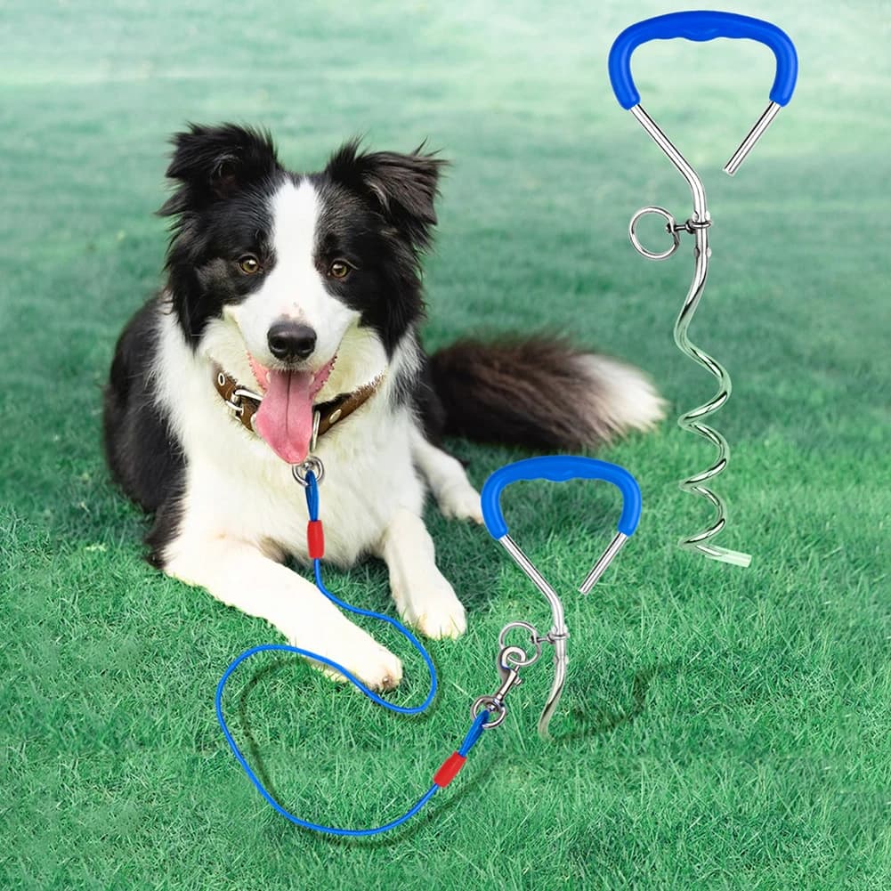 Palo per legare il cane Manico con impugnatura morbida Palo per guinzaglio per ancoraggio per cani resistente per passeggiate in campeggio all'aperto a terra