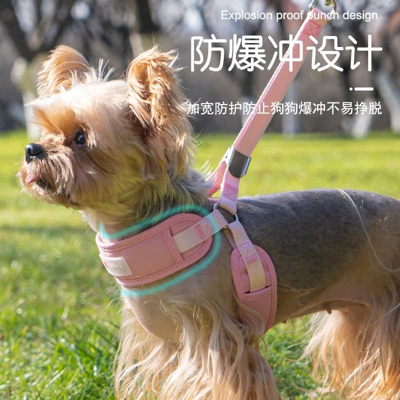 Imbracatura per corda da trazione per animali domestici Imbracatura toracica Artefatto da passeggio per cani traspirante all'ingrosso A prova di esplosione