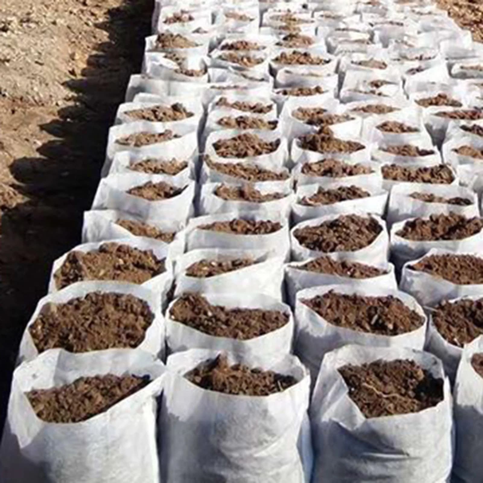 100-piece disposable plant nursery bag Plant nursery bag with great water retention to improve plant survival speed