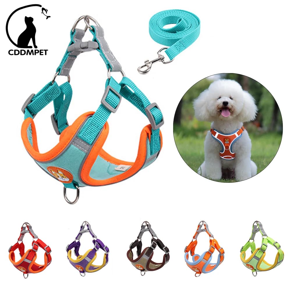 Set di imbracatura e guinzaglio per cani senza tirare Set di imbracatura regolabile per cuccioli di gatto Guinzaglio riflettente per cani di piccola taglia Chihuahua