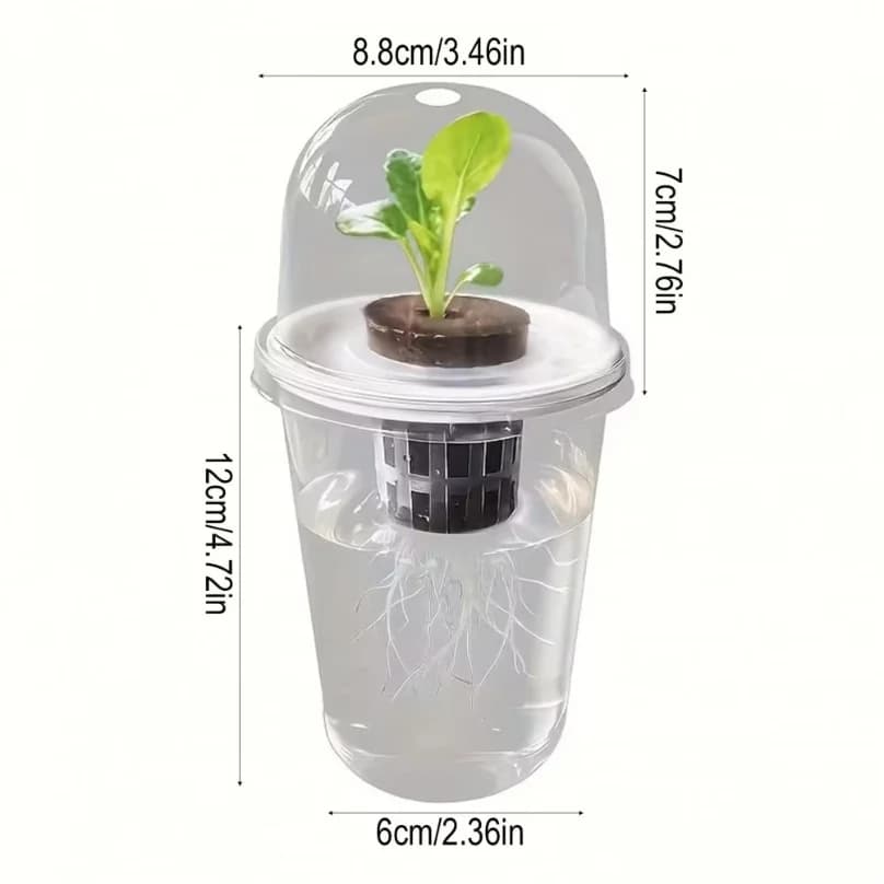 Hydroponic Seeds Starter Transparent Plant Propagation Cup Plant Propagation Station Kit Transparent Hydroponic for Succulents