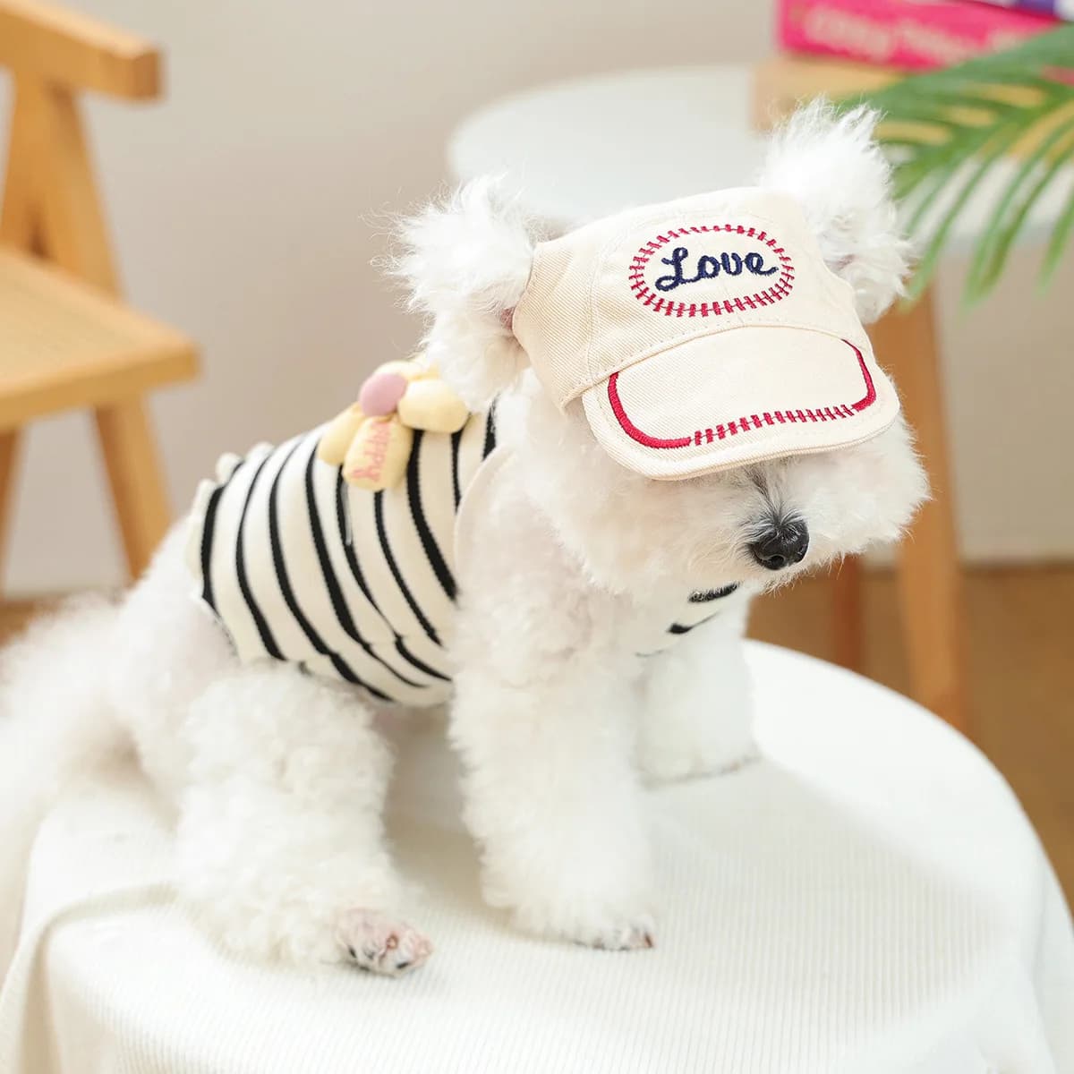 Cappello da sole per animali domestici Berretto da baseball Carino lettera d'amore Ricamo Copricapo per cani gatto Cappello per protezione solare Puntelli per fotografia quotidiana per cani