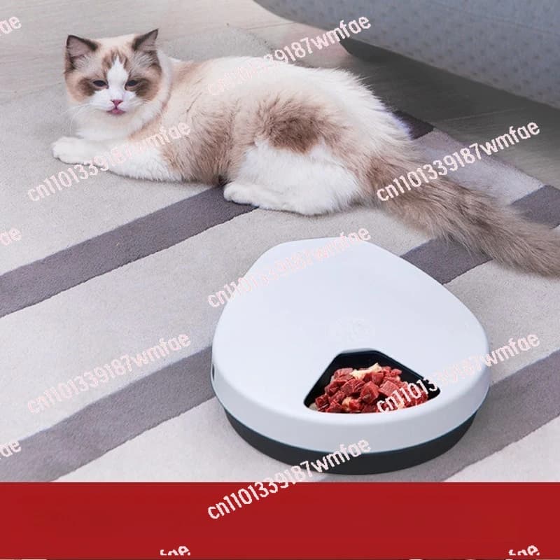 Frigorifero per animali domestici, alimentatore automatico per alimenti umidi, refrigerazione plug-in e macchina intelligente per alimenti per gatti per carne fresca