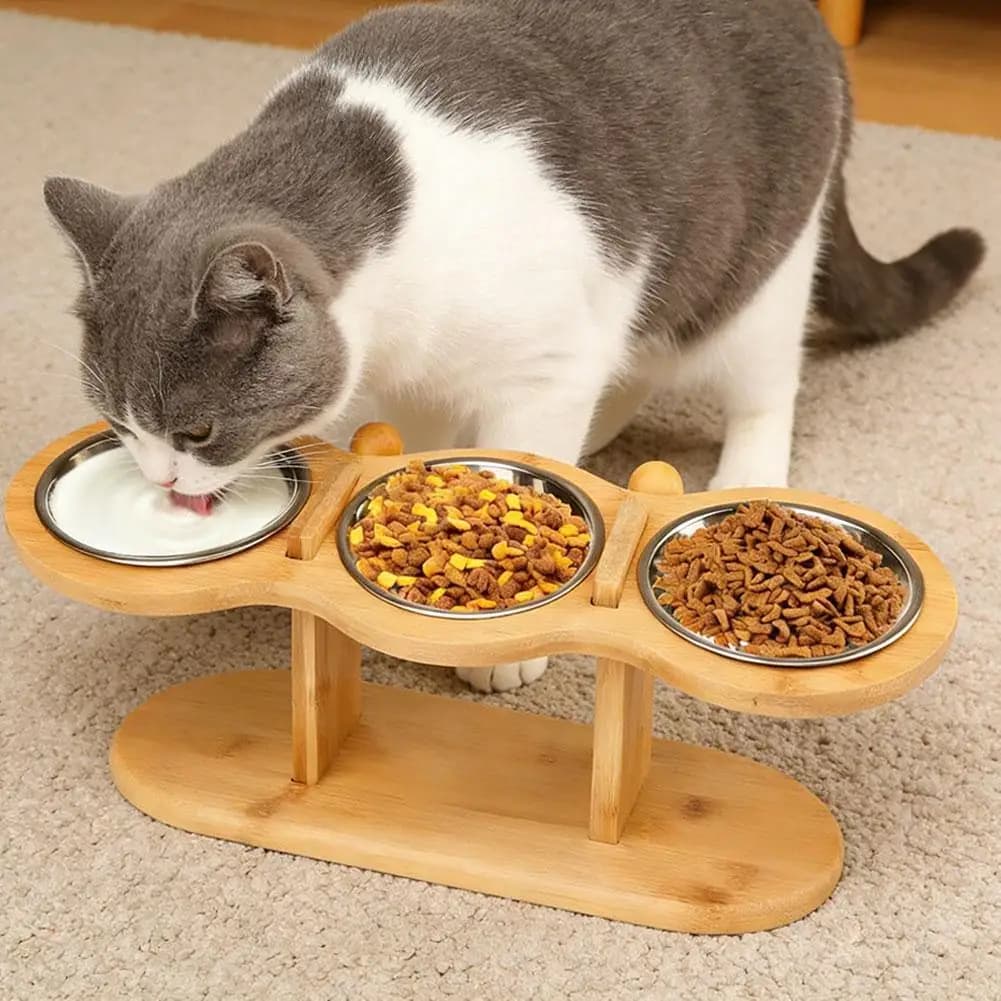 Ciotole Rialzate per Gatti, Ciotole per Cibo Elevate 15 ° Ciotole Inclinabili per Gatti e Cuccioli, Supporto per Alimentazione con 3 Ciotole in Acciaio Inossidabile